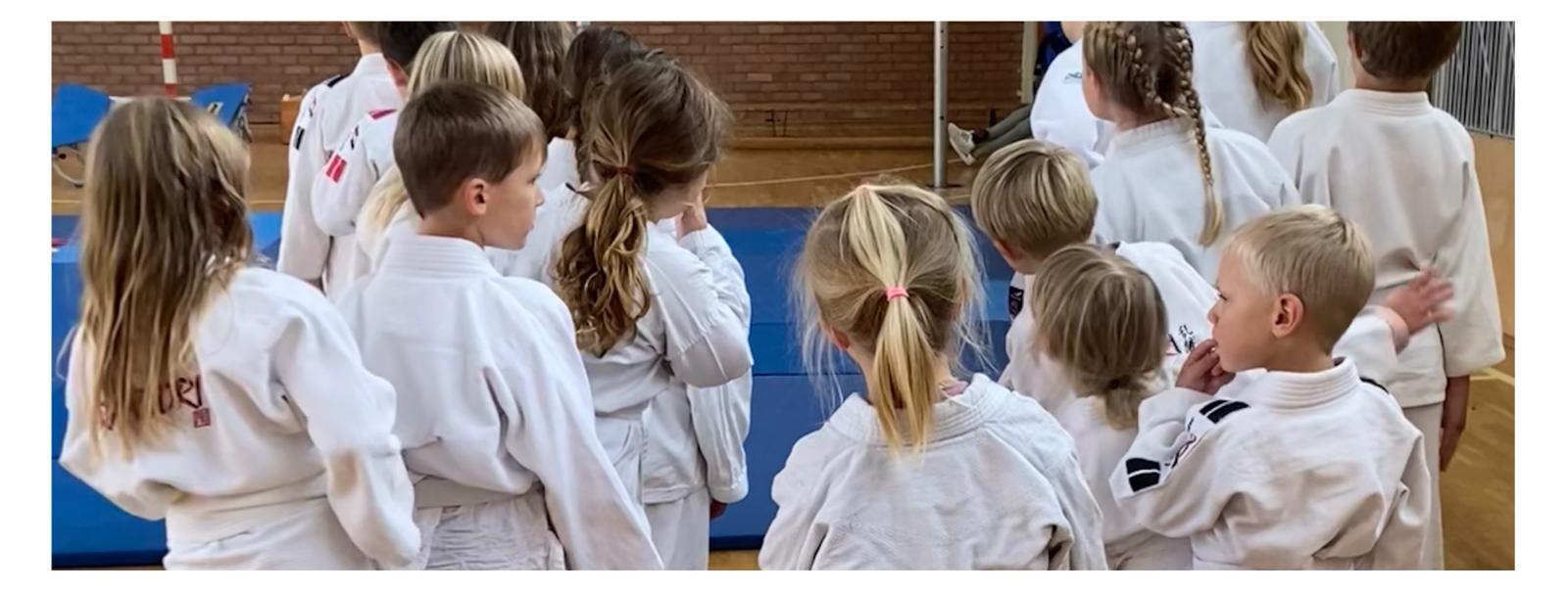 Aus Japan nach Gnevezow – Matten frei für den Kinderjudokurs